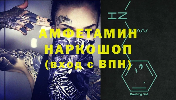 бошки Бронницы