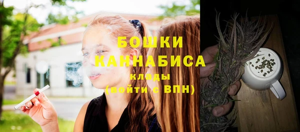 бошки Бронницы