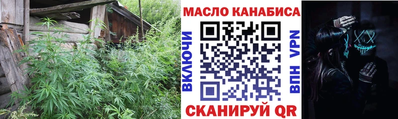 ТГК концентрат  Купить закладки  Михайловск 
