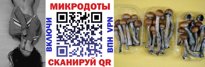 Купить закладки  Михайловск  Галлюциногенные грибы мицелий 