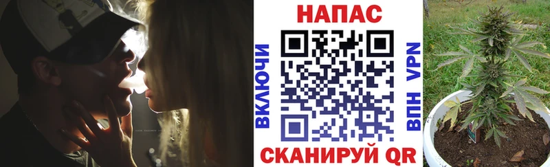 МАРИХУАНА SATIVA & INDICA  Купить закладки  Михайловск 